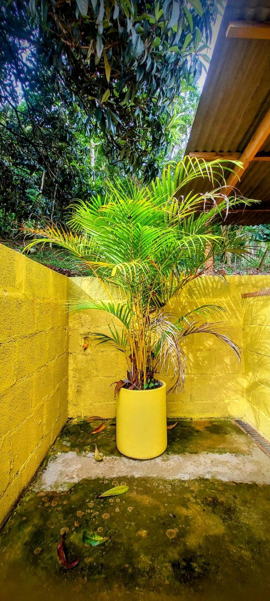 Rancho Acacia Sao Roque São Roque Exterior foto